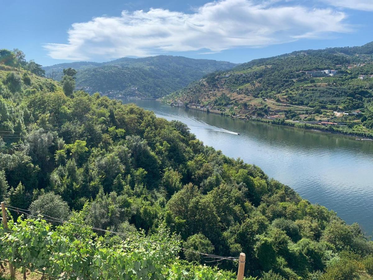 Douro Nest Houses カルダス・デ・アレゴス エクステリア 写真